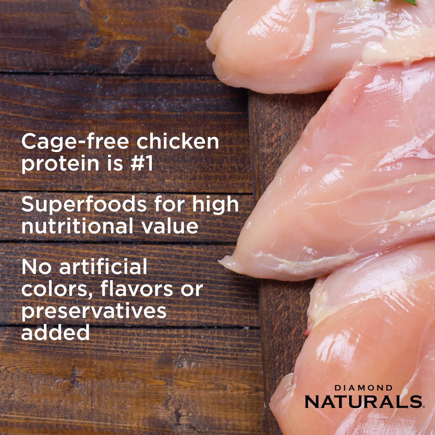 ダイアモンド ナチュラル インドアキャット