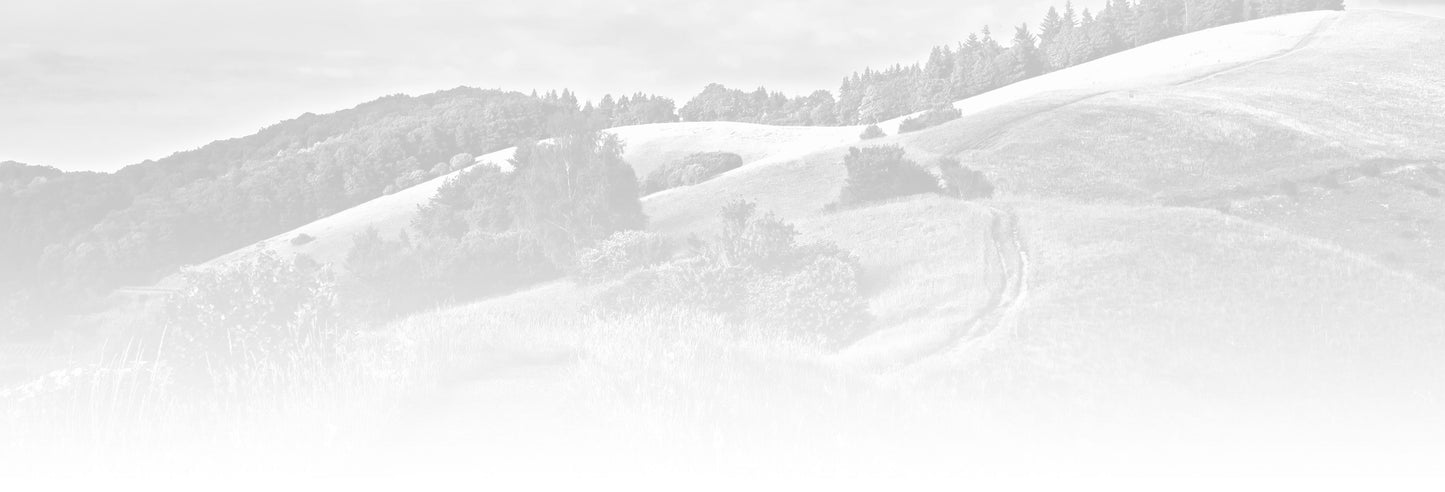 ダイアモンド ナチュラル ライト ラム&ライス